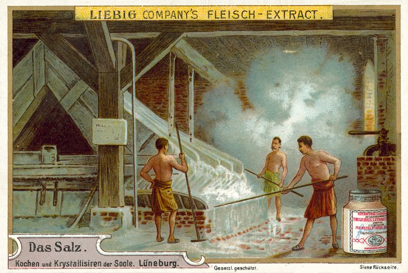 Só: forrásban lévő sóoldat, Luneburg, Németország alkotó: European School