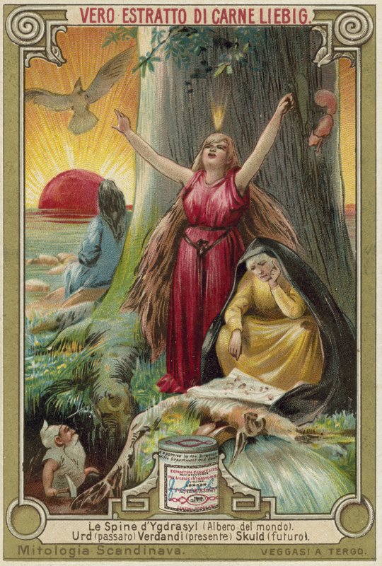 Az Yggdrasil fa alkotó: European School