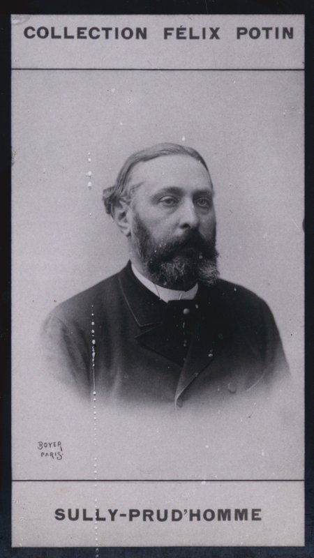 Armand Sully Prudhomme (1839) (f/w fotó) alkotó: European Photographer