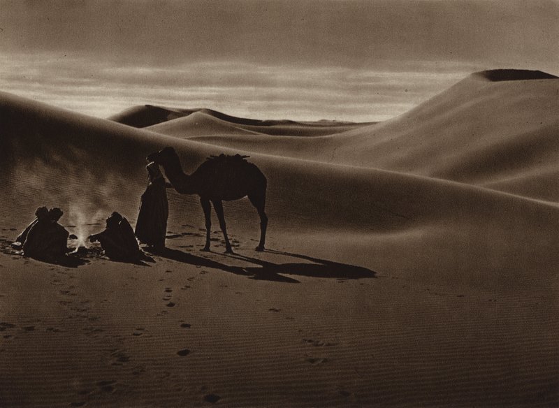 Este a sivatagban (fekete-fehér fotó) alkotó: European Photographer