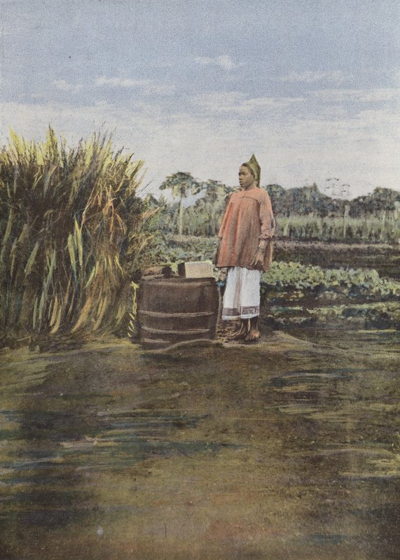 afrikai nő alkotó: European Photographer