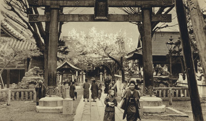 Japán, utca Tokióban, cseresznyevirágzás ideje (f/w fotó) alkotó: European Photographer