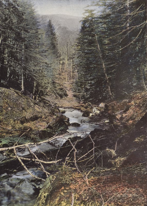 Luchon, a Csuka Felső Völgye alkotó: European Photographer