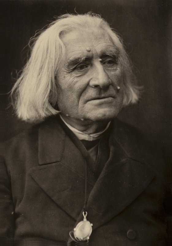Portrait of Franz Liszt alkotó: European Photographer