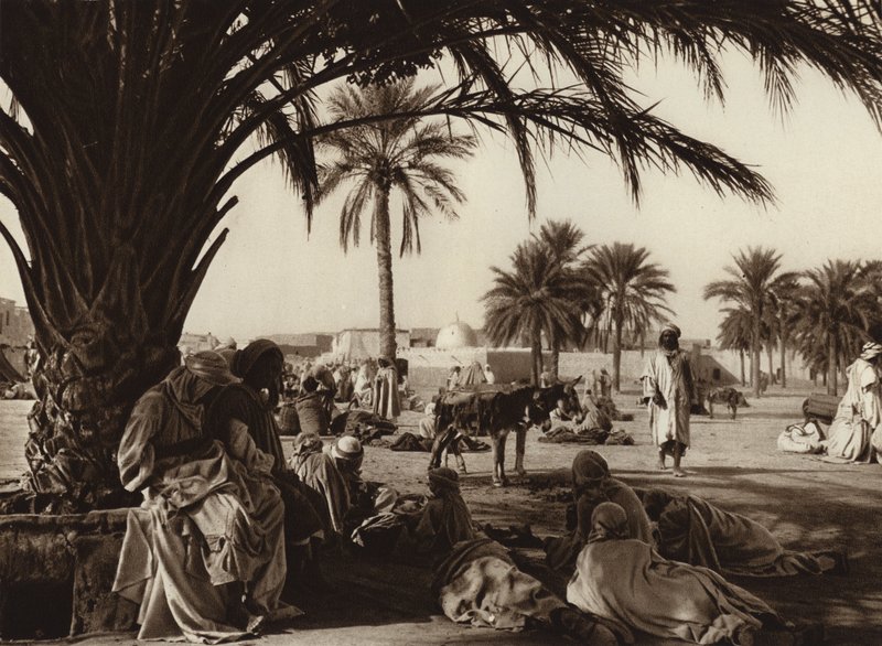 Touggourt Oasis (fekete-fehér fotó) alkotó: European Photographer