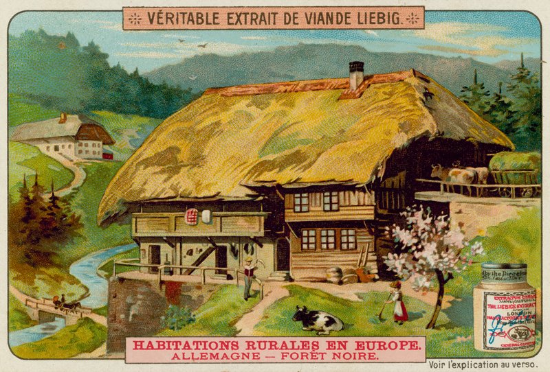 Német tájház alkotó: European School