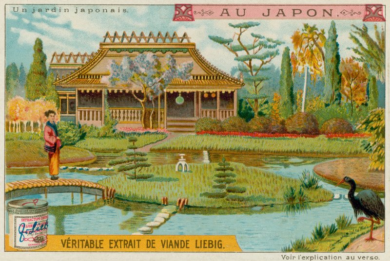 Japán kert alkotó: European School