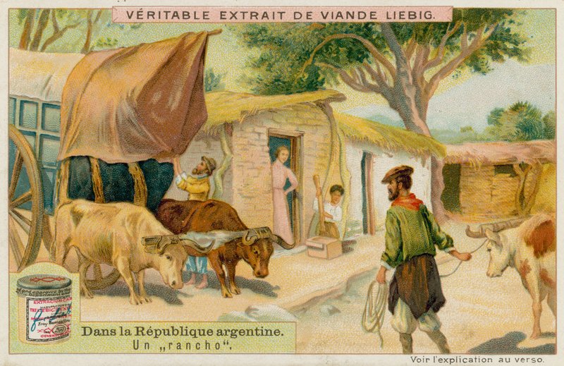 Egy Ranch alkotó: European School
