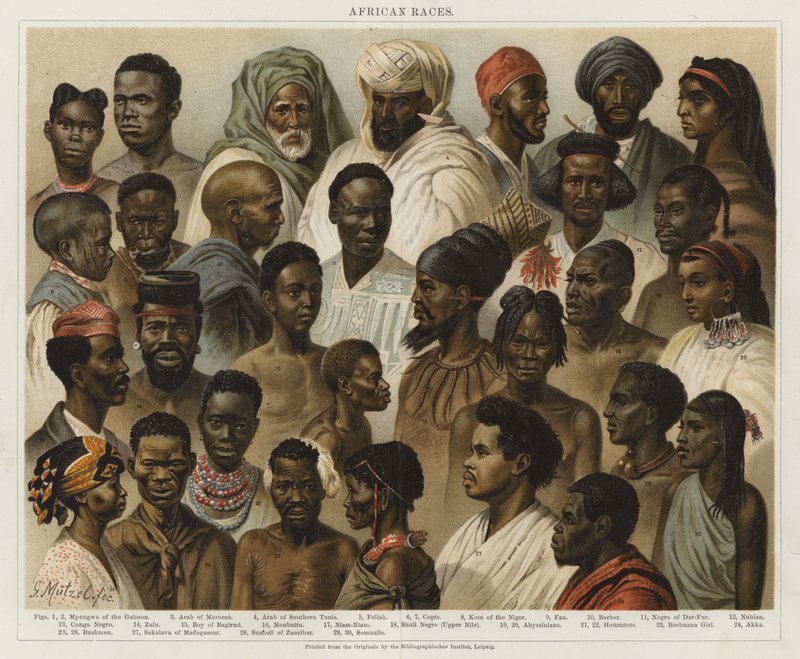 Afrikai fajok alkotó: European School