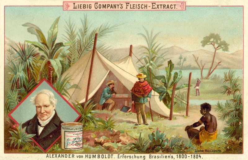 Alexander von Humboldt expedíciója Dél-Amerikába, 1800-1804 alkotó: European School