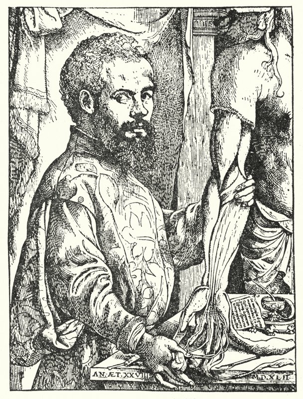 Andreas Vesalius (metszet) alkotó: European School