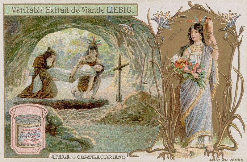 Fejezet alkotó: European School