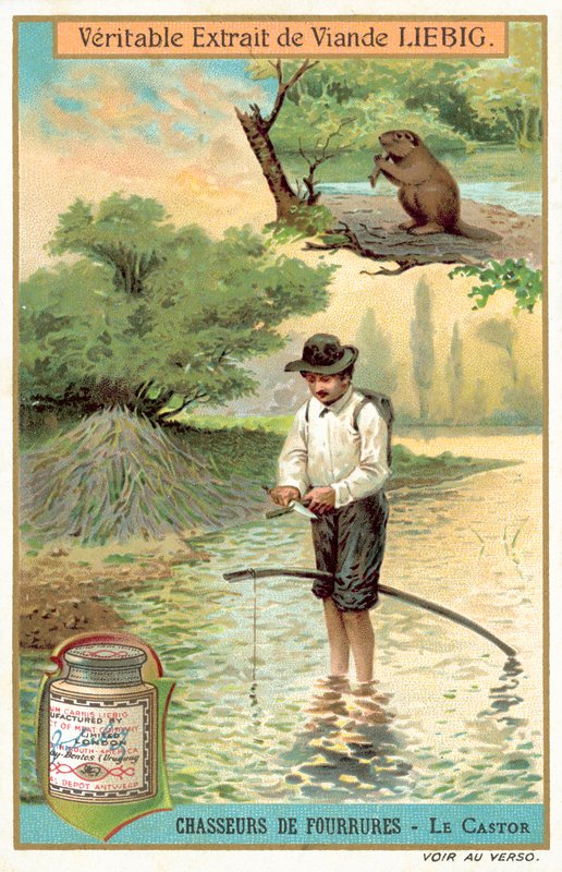 Hódfogó (chromolitho) alkotó: European School