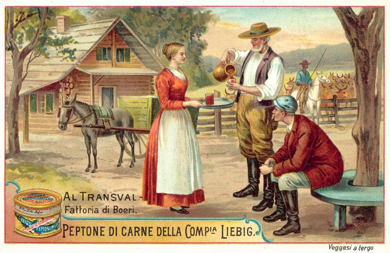 Boer farm a Transvaalban (chromolitho) alkotó: European School