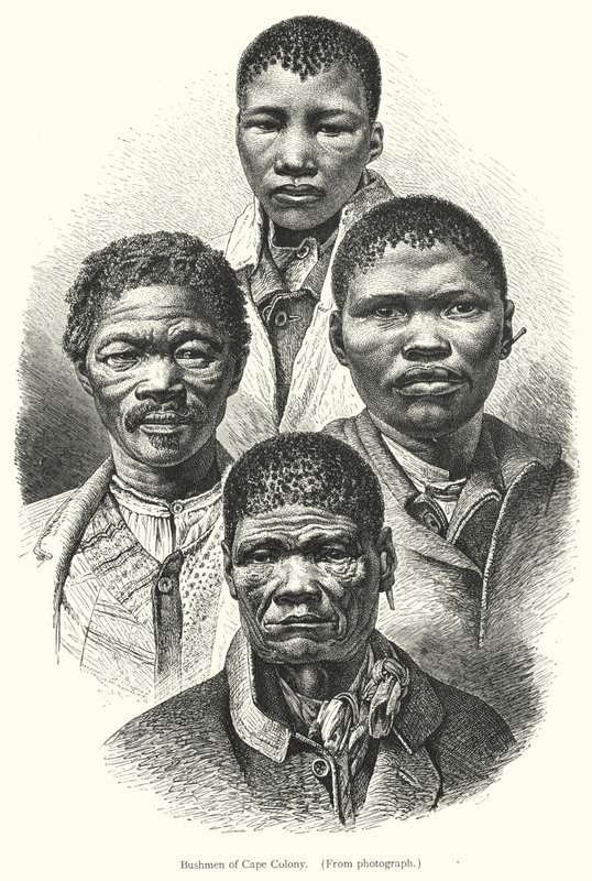 Cape Colony bushmen (metszet) alkotó: European School