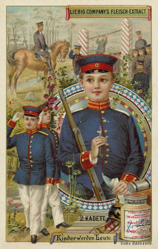 Kadét alkotó: European School