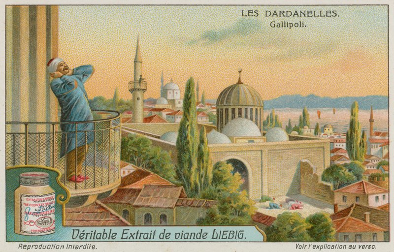Hívj imára, Gallipoli alkotó: European School