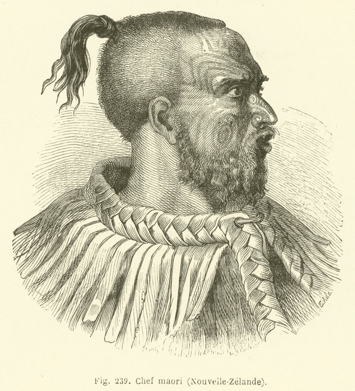 Maori főnök, Új-Zéland (metszet) alkotó: European School