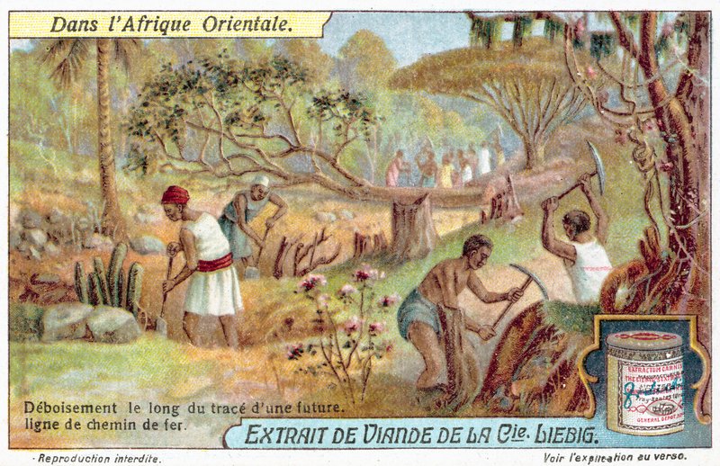 Egy vasútvonal útvonalának megtisztítása (chromolitho) alkotó: European School