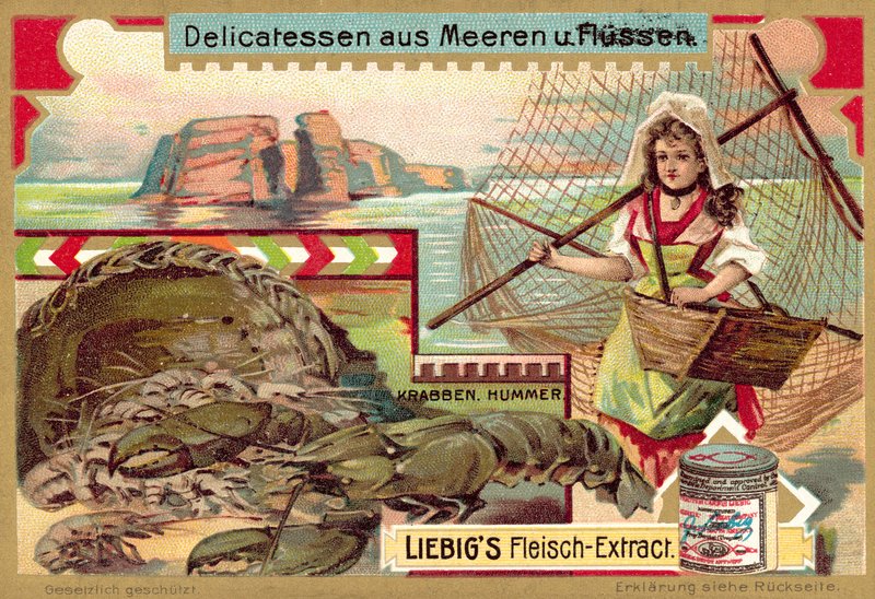 Rák és homár (chromolitho) alkotó: European School