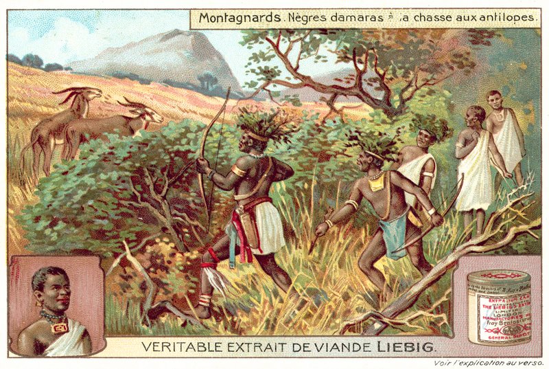 Damaras antilopokra vadászik (chromolitho) alkotó: European School