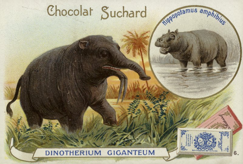 Deinotherium Giganteum és víziló alkotó: European School