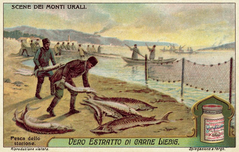 Tokhal horgászata (chromolitho) alkotó: European School