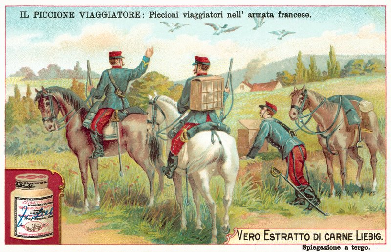Francia Hadsereg postagalambjai (chromolitho) alkotó: European School