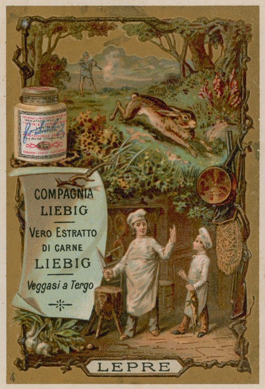 Mezei nyúl alkotó: European School