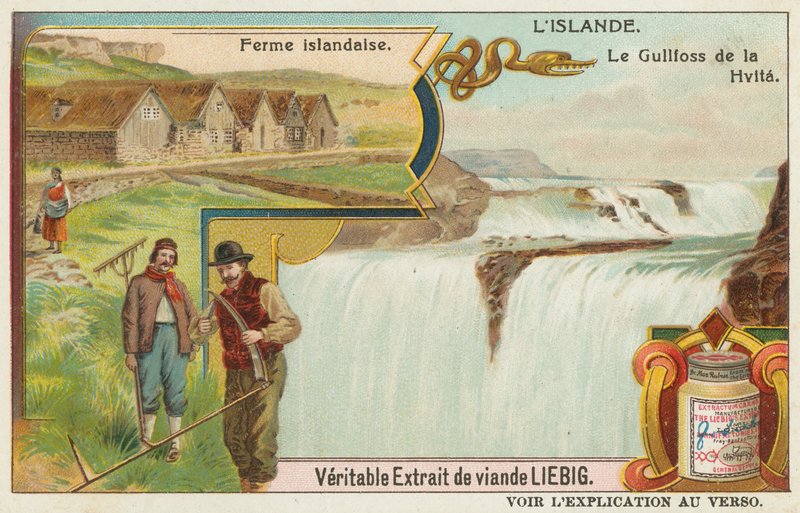 Izlandi farm és a Gullfoss (Golden Falls) a Hvitán alkotó: European School