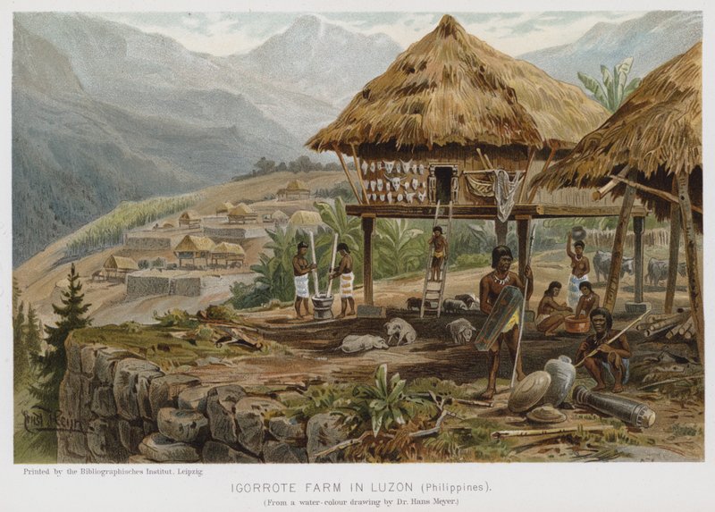 Igorrote Farm Luzonban, Fülöp-szigeteken (chromolitho) alkotó: European School