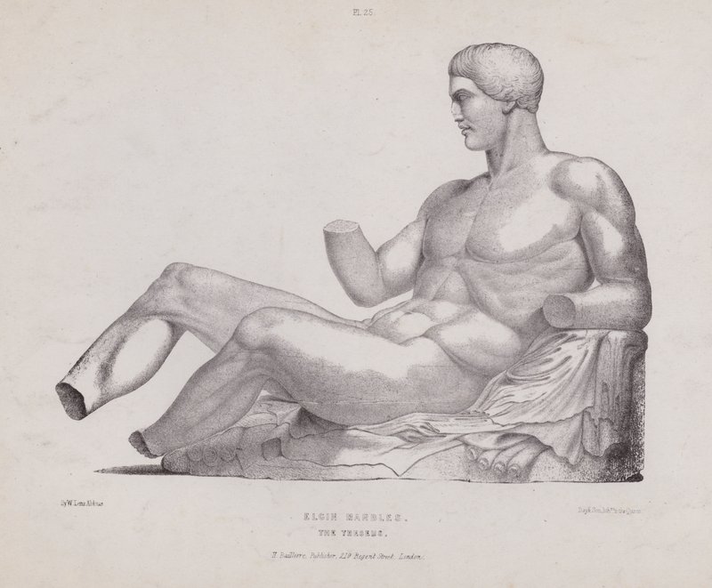 Illusztráció Az ember külső formáinak anatómiájához: Elgin Marbles, The Thészeusz (litho) alkotó: European School