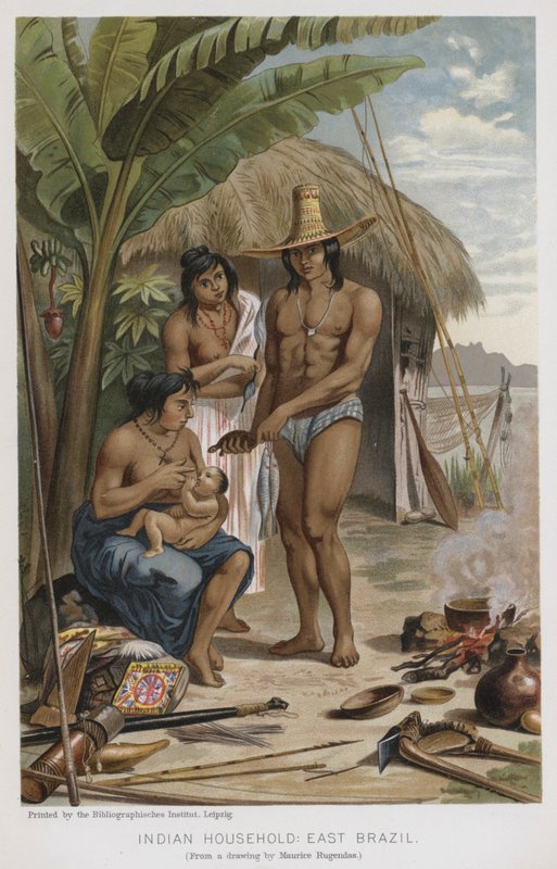 Indiai háztartás, Kelet-Brazília (chromolitho) alkotó: European School
