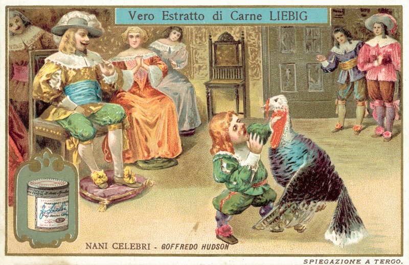Jeffrey Hudson, angol udvari törpe és bolond I. Károly király és Henrietta Maria királynő udvarában (chromolitho) alkotó: European School