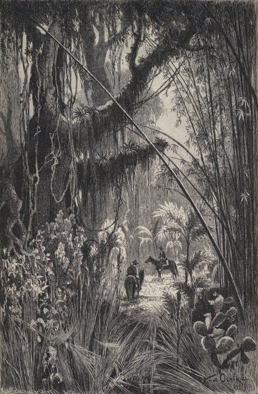 Dzsungel a Salta Cordillera-ban, Argentína északnyugati részén (litho) alkotó: European School