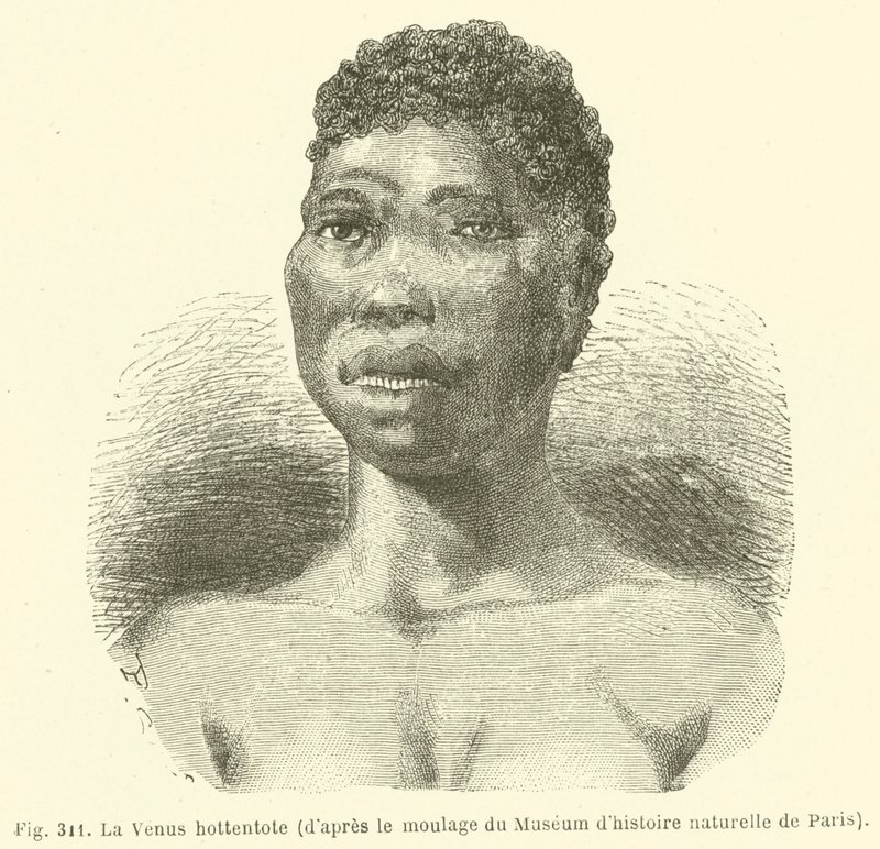 A Hottentot Vénusz, a párizsi Természettudományi Múzeum szereplőgárdájából (metszet) alkotó: European School