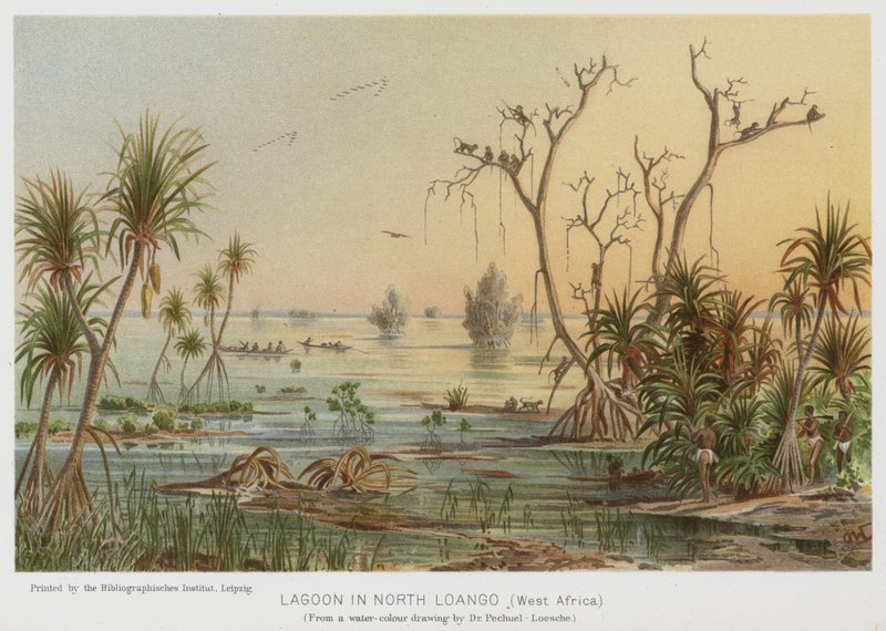 Lagúna Észak-Langóban, Nyugat-Afrika (chromolitho) alkotó: European School
