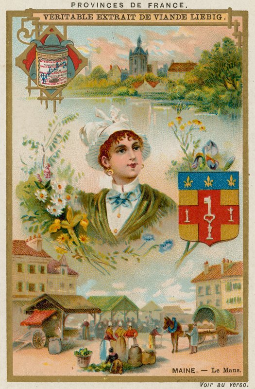 Maine alkotó: European School