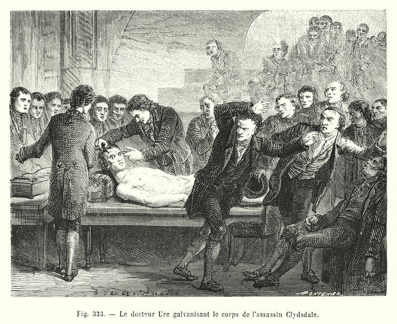 Doktor Ure galvanizálja a bérgyilkos, Clydesdale testét (metszet) alkotó: European School
