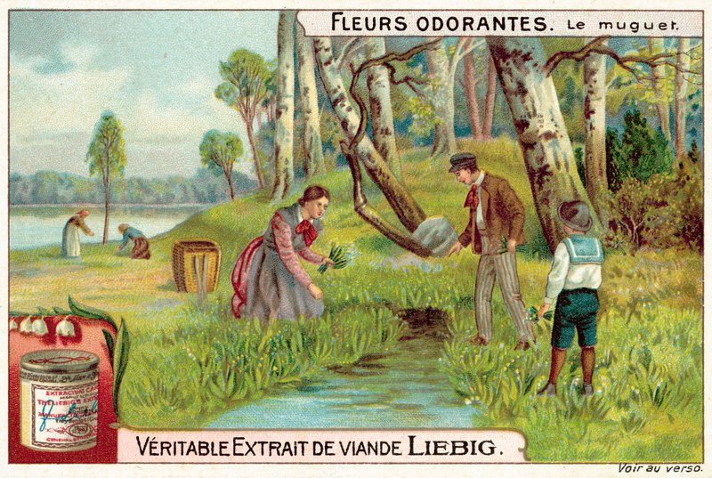 Gyöngyvirág (chromolitho) alkotó: European School