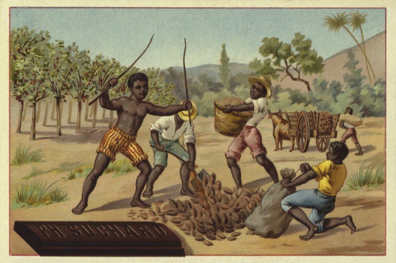 Kakaóhüvelyek betöltése zsákokba, Afrika alkotó: European School