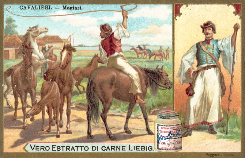 magyarok (chromolitho) alkotó: European School