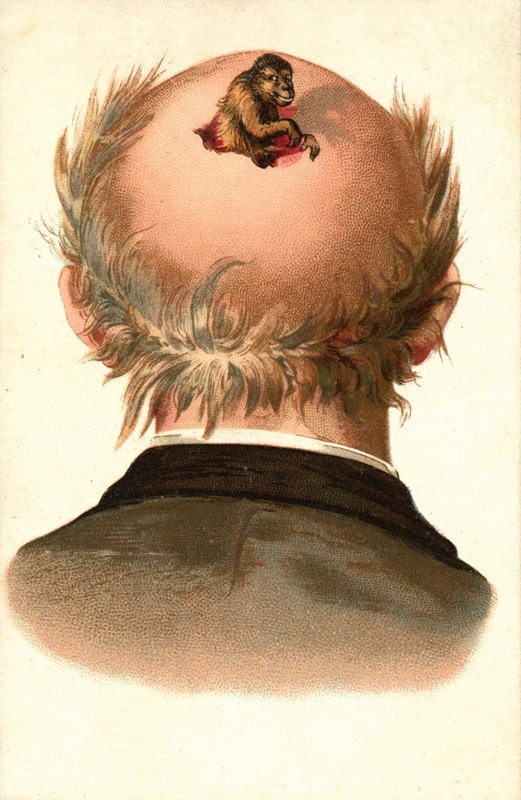 Férfi fej - kimászó majommal (chromolitho) alkotó: European School