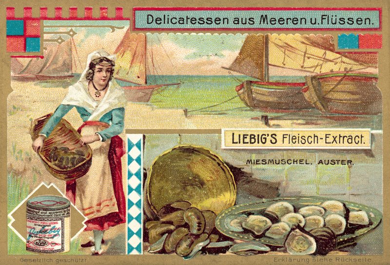 Kagyló és osztriga (chromolitho) alkotó: European School