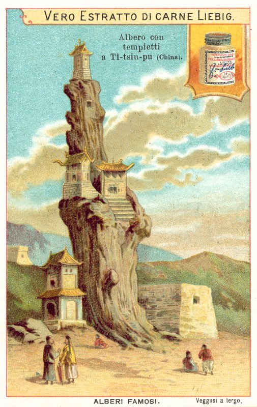 Öreg fa templomokkal Kínában (chromolitho) alkotó: European School