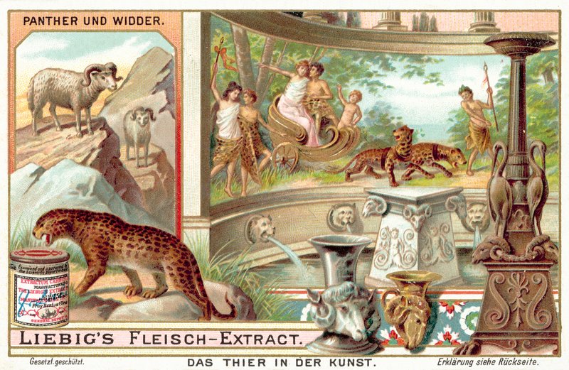Párducok és kosok (chromolitho) alkotó: European School