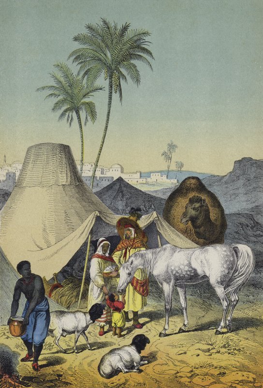 Észak-Afrika és Arábia emberei, állatai és növényei (színes litho) alkotó: European School
