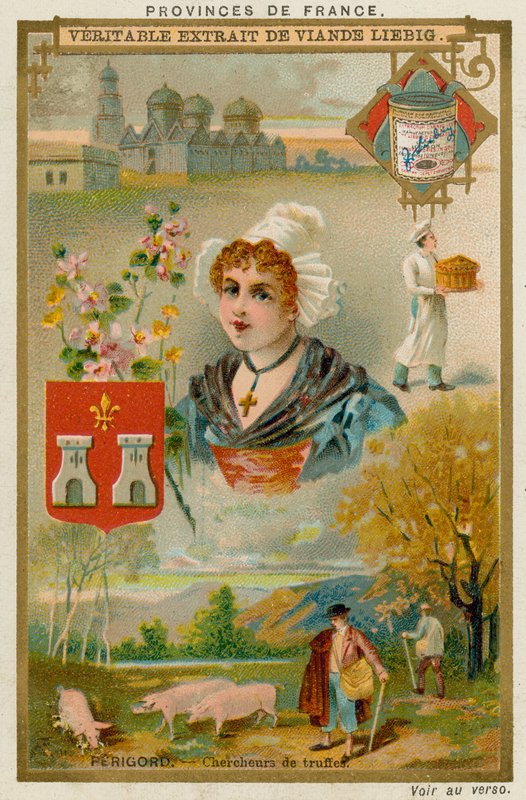 Perigord alkotó: European School