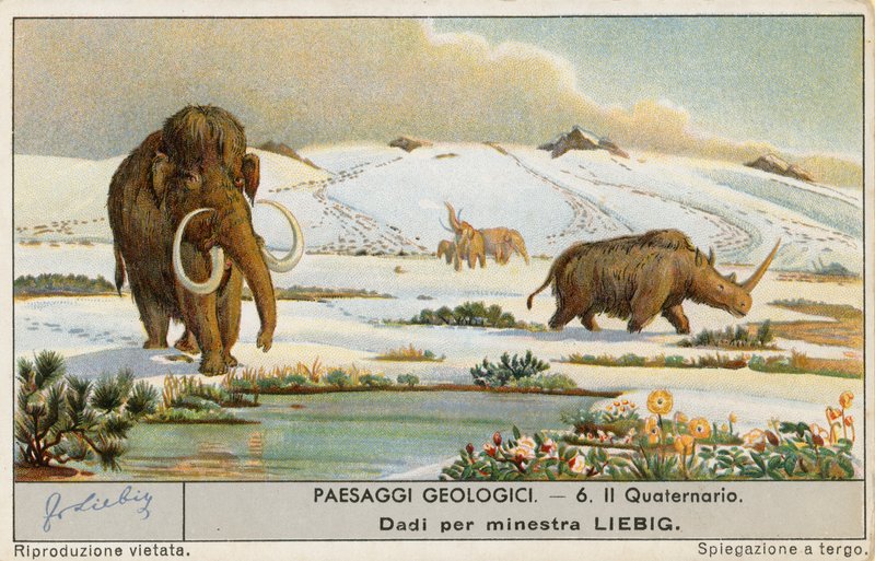 Őskori világ, Liebig-kártya, 20. század eleje (kromo) alkotó: European School