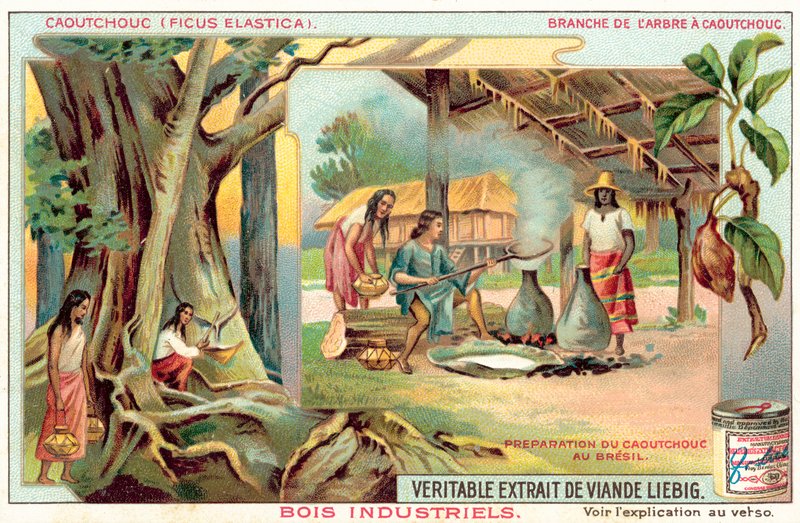 Gumifa (chromolitho) alkotó: European School